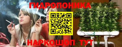гашиш Можга