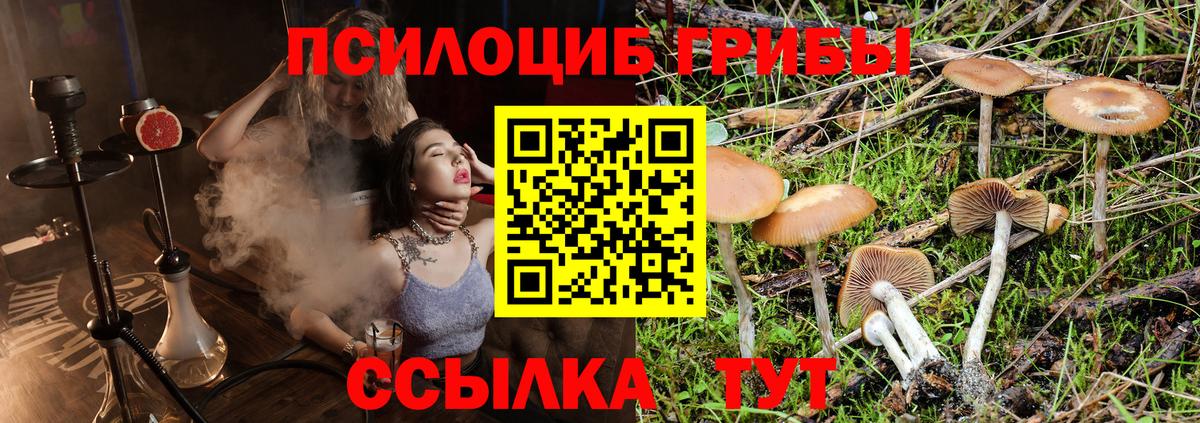 Меф МЯУ МЯУ кристаллы  Метамфетамин  Бошки Шишки  Аксай  Мефедрон  ГАШИШ  ГАШИШ  Вход с VPN 