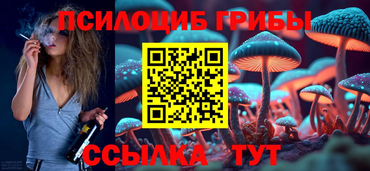 Галлюциногенные грибы Psilocybine cubensis Аксай