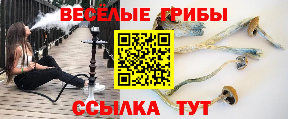 Псилоцибиновые грибы Magic Shrooms  Вход с VPN  Аксай 